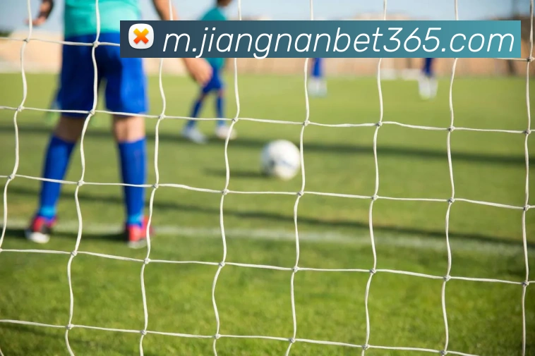 江南体育平台生态图